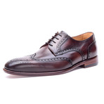 Abbott Dress Shoe // T. Moro (Euro: 46)