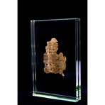 Egyptian Papyrus Book Of The Dead Fragment // Ptolemaic Kingdom Ca.323 - 30 BCE // 6