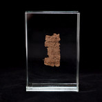 Egyptian Papyrus Book Of The Dead Fragment // Ptolemaic Kingdom Ca.323 - 30 BCE // 2