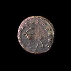 Authentic Roman Coin // Gallenus I Ca. 253-268 CE