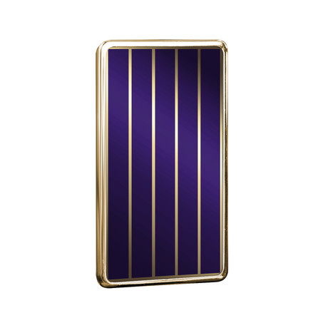 Purple // Interchangeable Plate