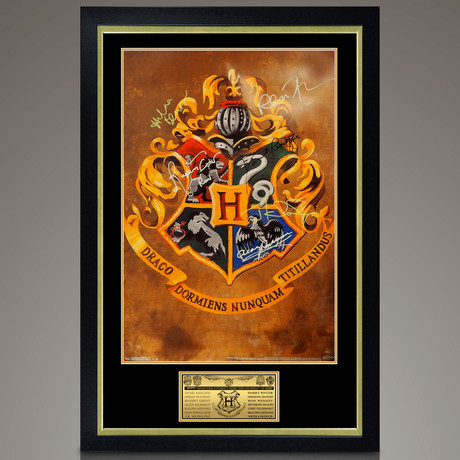 Harry Potter Hogwarts // Cast Signed Poster // Custom Frame