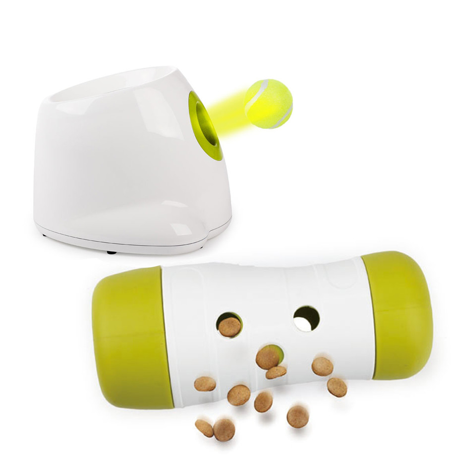 All For Paws Advanced Pet Toys Touch of Modern
