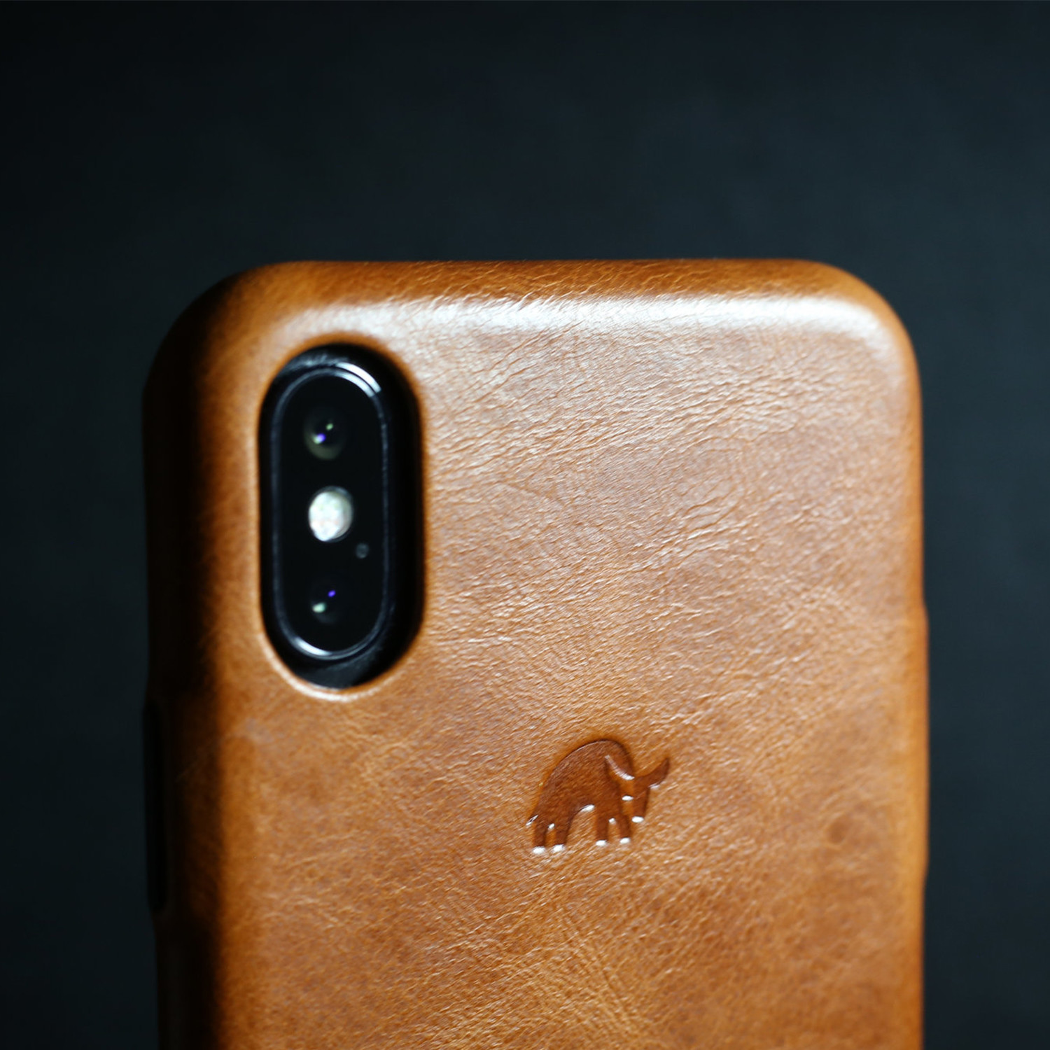 Patina Tech Leather iPhone Case, Sienna / 13
