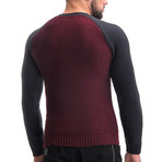 Wool Raglan Sweater + Geometric Design // Bordo (XS)