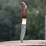 Folding Knife // VK2337