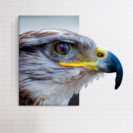 Bird // Mostic 3D Wrapped Canvas + Decal