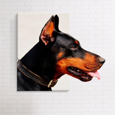 3D Dog // Mostic 3D Wrapped Canvas + Decal