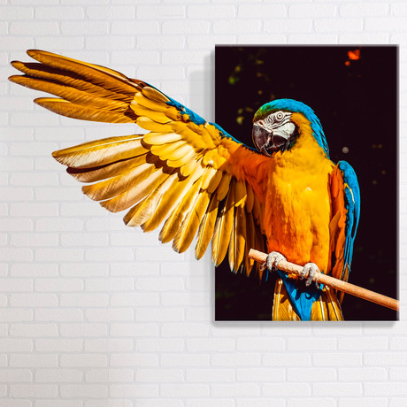 Parrot // Mostic 3D Wrapped Canvas + Decal