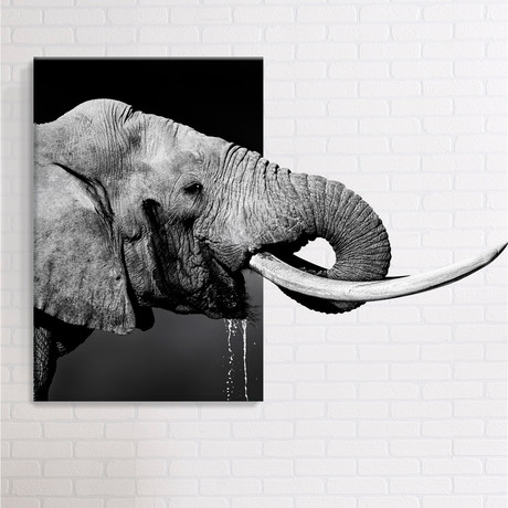 Old Elephant // Mostic 3D Wrapped Canvas + Decal