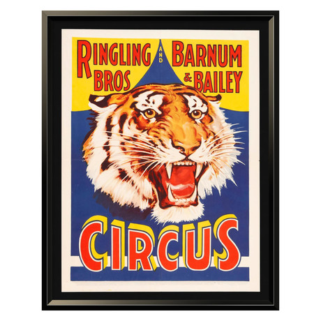 Circus (19"W x 24"H x 1.5"D)