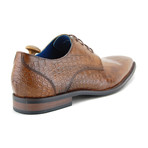 Teilo Lace // Mid Brown (Euro: 40)