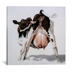 Candy Cow // Clara Bastian (18"W x 18"H x 0.75"D)