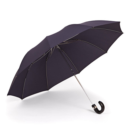 Serendipity Compact Umbrella // Navy