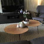 Oakley // 14" Tall Coffee Table // Oak Veneer + Black Iron Legs