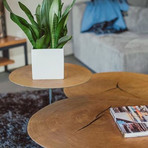 Oakley // 14" Tall Coffee Table // Oak Veneer + Black Iron Legs