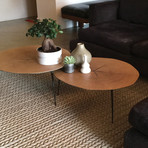 Oakley // 14" Tall Coffee Table // Oak Veneer + Black Iron Legs