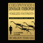 Dinosaur Triassic Era Authentic Footprints // Museum Display