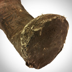 Ancient Egyptian Authentic XL Carved Ushabti Tomb Statue // Museum Display 2