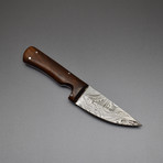 Damascus Steel Mini Hunting Skinner Knife