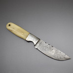 Damascus Steel Full Tang Knife // Camel Bone Handle