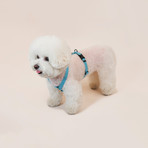 We Are Tight // Harness // Cloud Bay (Small)