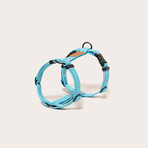 We Are Tight // Harness // Cloud Bay (Small)