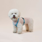 We Are Tight // Harness // Cloud Bay (Small)