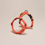 We Are Tight // Harness // Cherry Twizzle (Small)