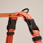 We Are Tight // Harness // Cherry Twizzle (Small)
