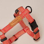 We Are Tight // Harness // Cherry Twizzle (Small)