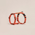 We Are Tight // Harness // Cherry Twizzle (Small)