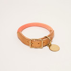 We Are Tight // Collar // Cherry Twizzle (Small)