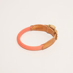We Are Tight // Collar // Cherry Twizzle (Small)
