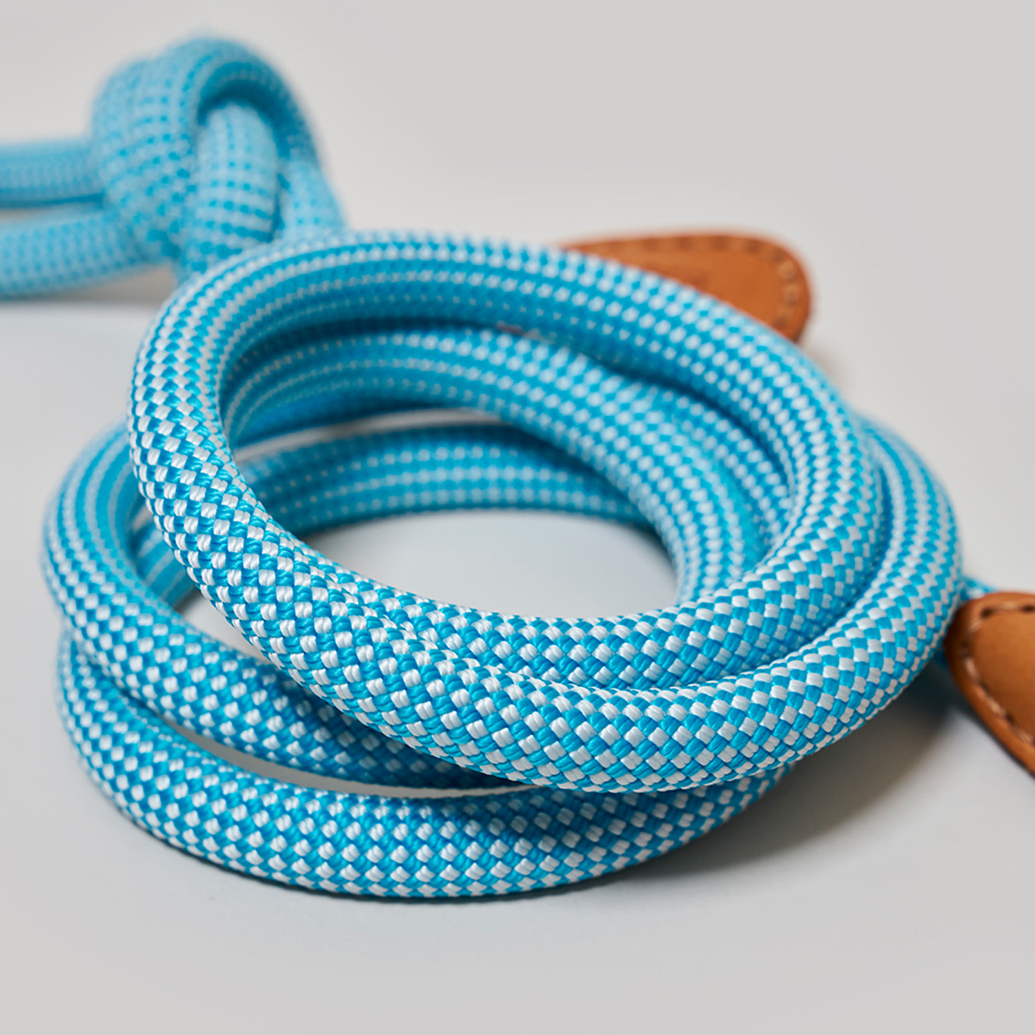 We Are Tight // Leash (Purple Fiction) Howlpot Touch of Modern