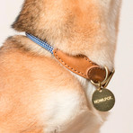 We Are Tight // Collar // Purple Fiction (Small)