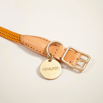 We Are Tight // Collar // Yellow Jacket (Small)