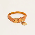 We Are Tight // Collar // Yellow Jacket (Small)