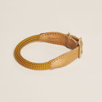 We Are Tight // Collar // Yellow Jacket (Small)