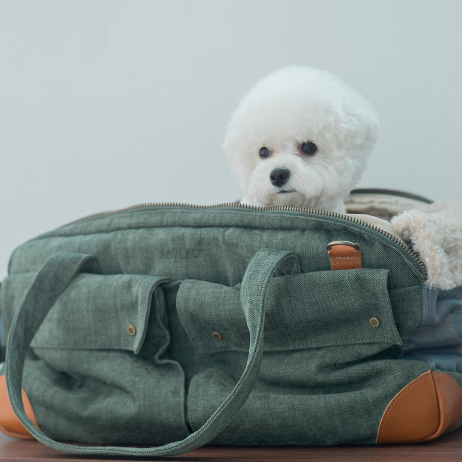 Howlpot Pet Carrier Bag - Wellness info for pet parents