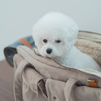 We Are Tight // Pet Carrier Bag (Grass Powder)