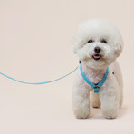 We Are Tight // Harness // Cloud Bay (Small)