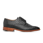 Ernan Classic Shoes // Black (Euro: 39)