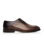 Arcadia Classic Shoes // Brown (Euro: 39)