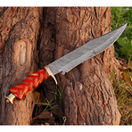 Damascus Bowie Knife // BK0237