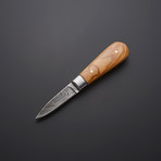 Fixed Blade Oyster Knife // HB-0468