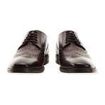 Square Toe Double Wing Brogue // Brown (UK: 8)