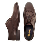 Square Toe Double Wing Brogue // Brown (UK: 8)