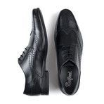 Derby Brogue // Black (UK: 10)