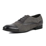 Leather Suede Oxford Brogue // Charcoal (UK: 9)